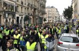 Acte IX à Rouen – « Macron, on vient te chercher chez toi » chantent des milliers de gilets jaunes