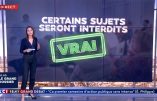 Les gilets jaunes et le débat national – Quelques réflexions supplémentaires