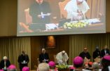 Vatican , un sommet sur les abus qui occulte leur principale cause, l’homosexualité