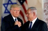 Trump et le Golan : nouveau cadeau à Israël