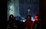 Protégeons Notre-Dame des marchands du temple (Claude Meunier-Berthelot) Tous à Paris le 12 mai 2019 pour Notre-Dame et sainte Jeanne d’Arc