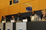 Le Parlement européen dénonce les actes “afrophobes” et demande de réparer en accueillant plus d’immigrés africains