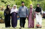 Allemagne – islamisation en marche : la nationalité allemande ouverte aux polygames