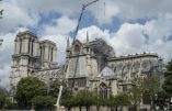 Quel avenir pour Notre-Dame de Paris ? Analyse politique sur ERFM