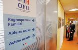 Associations pro-migrants : quand l’anti-France immigrationniste s’oppose frontalement aux dispositions législatives et s’attaque à l’OFII