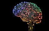 Avec Neuralink, serons-nous tous des Cyborg ?