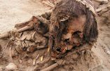 Sacrifices rituels d’enfants au Pérou : des archéologues découvrent des centaines de squelettes