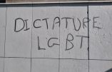 L’université de Bordeaux cède aux menaces violentes du diktat LGBT et annule un débat avec une philosophe opposée à la GPA