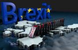 Brexit, or not Brexit ?