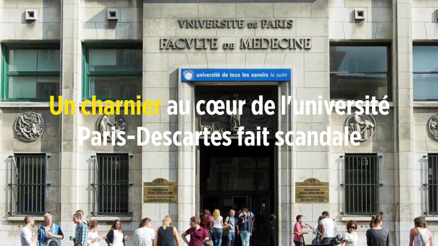 Le Charnier De La Faculté De Médecine Paris Descartes