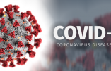 Le point sur l’épidémie de Coronavirus / Covid-19