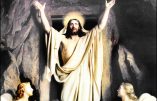 Dimanche 12 avril 2020 – Dimanche de Pâques – Saint Jules 1er, Pape – Saint Sabas le Goth, Martyr (334-372)