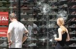 Allemagne – Stuttgart, scènes de guerre civile, sur fond de trafic de drogue