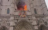 Pour un visa non renouvelé, la cathédrale de Nantes a brûlé