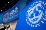 Le nouveau plaidoyer du FMI pour l’immigration de grand remplacement