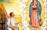 Samedi 12 décembre 2020 – De la férie – Notre-Dame de Guadalupe, Patronne de l’Amérique Latine – Sainte Adélaïde, Impératrice