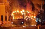 Incendies : des pyromanes sèment le feu depuis deux ans autour de Fougères (35)