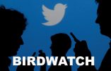 Twitter crée Birdwatch et recrute des censeurs