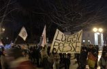 Manifestation à Berlin contre la dictature sanitaire… et la presse mensongère