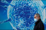 D’un virus, l’autre.