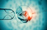 Des chercheurs israéliens dévoilent un plan épouvantable pour créer des embryons pour le prélèvement d’organes
