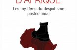 Tyrans d’Afrique : les mystères du despotisme postcolonial (Vincent Hugeux)