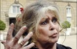 Le vœu de Brigitte Bardot pour 2023 : “Que Macron ne soit plus là”