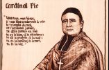 « L’affaire» de  la place  de la Cathédrale et du Cardinal-Pie : l’association Sainte Jeanne d’Arc de Poitiers a besoin de vous !