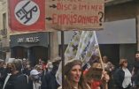 Lettre ouverte de Stéphanie Bignon à Cassandre Fristot