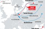 Le pipeline Nord Stream 2 à l’arrêt, la crise ukrainienne fait avant tout les affaires de Washington