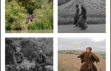 Chronique d’Assise n° 3 – L’Encyclique Laudato Si face à Saint François et la nature