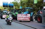 Dr Robert Malone : Le silence des médias sur les manifestations des agriculteurs néerlandais devrait nous éveiller
