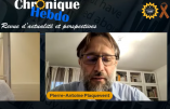 Globalisme et dépopulation : entretien avec Pierre-Antoine Plaquevent