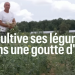 Un paysan explique comment il cultive ses légumes sans eau