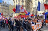 Manifestation à Paris contre la société totalitaire
