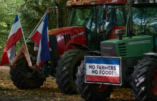 Qu’est-ce qui motive vraiment le plan des Pays-Bas de fermer 3 000 fermes ? Focus sur un plan mondialiste pour s’emparer des terres agricoles
