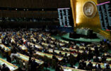 Plus de 60 pays s’opposent au langage “inclusif” lors de l’assemblée générale de l’ONU