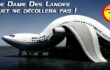 Nantes : l’aéroport loin de la saturation
