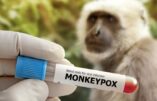 Stratégie de la peur : l’OMS revient avec le spectre de la variole du singe