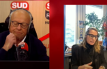 Insectes dans nos aliments : l’interview de Virginie Joron