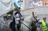 Recherche de cheval pour l'hommage à Sainte Jeanne d'Arc