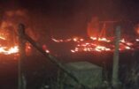 Des guérilleros mapuches attaquent une chapelle catholique au Chili et y mettent le feu