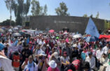 Manifestation au Mexique contre l’idéologie du genre
