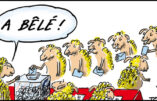 Les Français ont obéi docilement comme des moutons qu’on mène à l’abattoir : c’était il y a déjà trois ans…