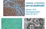 Conférence sur l'observation au microscope du contenu des "vaccins" contre le Covid