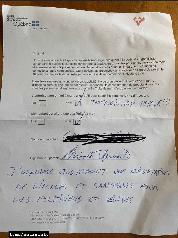Dans les écoles du Québec, les insectes sont proposés à la dégustation. Mais tous les parents ne sont pas d'accord !