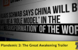 "Plandemic 3 : The Great Awakening"