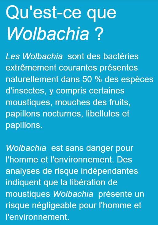 Expérience de moustiques Wolbachia du World Mosquito Program financé par la Fondation Gates