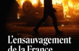 L’ensauvagement de la France : la responsabilité des juges et des politiques