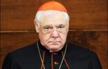 Le cardinal Müller critique sévèrement le synode